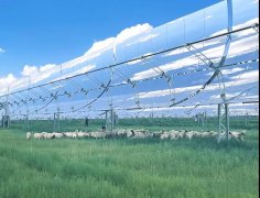 乌拉特中旗100兆瓦/1000兆瓦时光热储能电站首批100余只“光热羊”出栏了